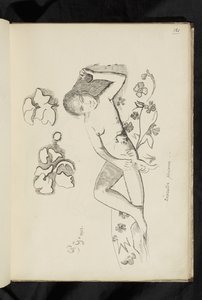 Avant et après - dessin "Personne décorative"