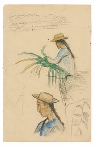 Croquis de figures, feuille de pandanus et plante de vanille