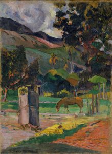 Paysage Tahitien