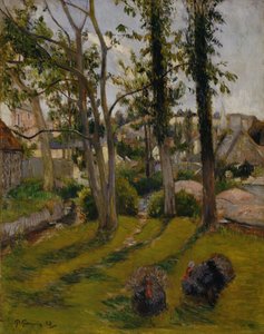 Les Dindes
