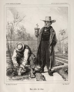 Faite et gestes du propriétaire