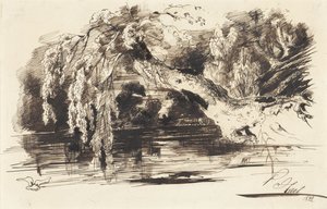 Paysage