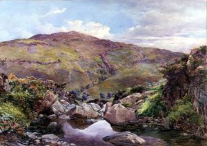Le Ruisseau de la Colline