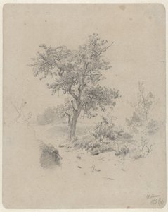 Paysage avec chêne - Paul Joseph Constantin Gabriel