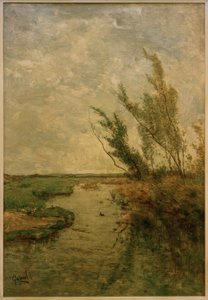 Paysage de polder
