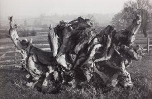 Laocoon", Carswall