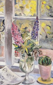 Lupins et cactus
