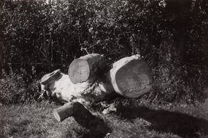 Object Trouve - Paul Nash