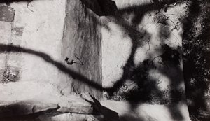 Step Edge ; ci-dessous le jardin de Nash à New House, Rye, Sussex - Paul Nash