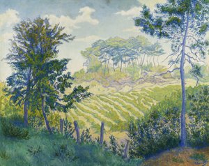 Les Vignobles sous les Pins, c. 1898