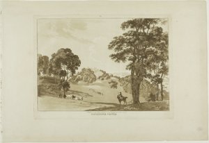 Château de Denefawr, planche onze de Douze vues du Pays de Galles