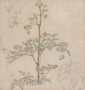  - Paul Sandby