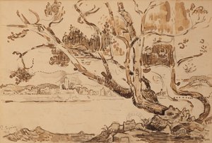 Paysage