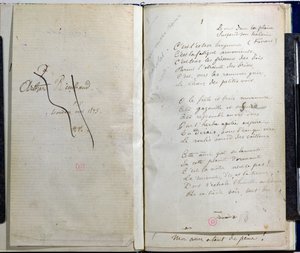 Pages manuscrites de 