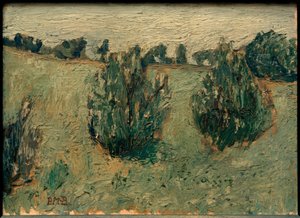 Paysage avec pins