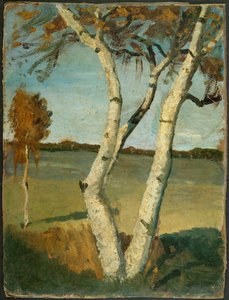 Bouleau à deux troncs devant un paysage