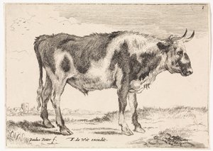 Bœuf tacheté - Paulus Potter (rejected attribution)