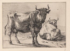 Une vache debout et une autre couchée, de divers bœufs et vaches - Paulus Potter
