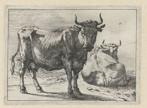 Une vache debout et une vache couchée - Paulus Potter