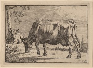 Vache en train de paître - Paulus Potter