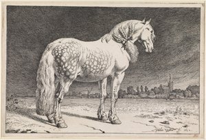  - Paulus Potter