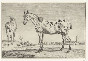 Le cheval coupé
Chevaux (série)
