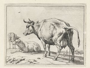 Vache urinant - Paulus Potter