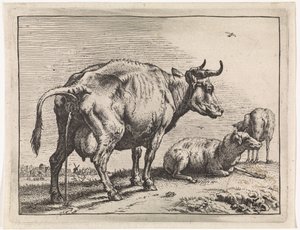 Vache urinant - Paulus Potter