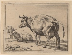 Vache urinant - Paulus Potter