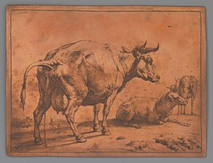Vache urinant et deux moutons