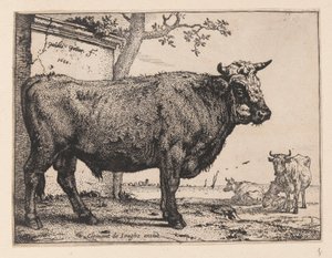 Le taureau, de divers bœufs et vaches - Paulus Potter