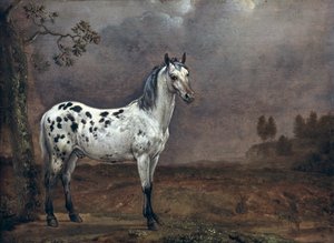 Le Cheval pie