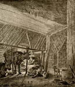 La vache vêlant