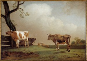 Le pré Un troupeau de vaches dans un pré - Paulus Potter