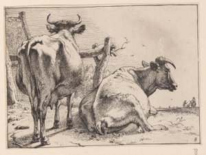 Deux vaches vues de derrière, de divers bœufs et vaches