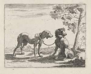 Deux chiens