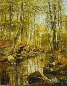Paysage fluvial boisé