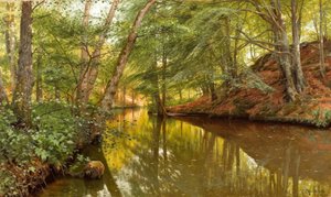 Jour de printemps au ruisseau forestier