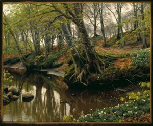 Jour de printemps au bord de la forêt