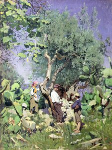 La Récolte des olives