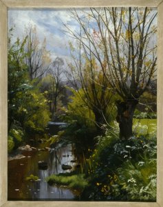 Ruisseau forestier