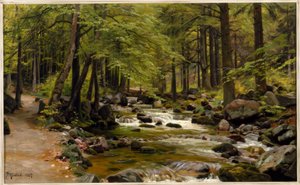 Ruisseau forestier au printemps