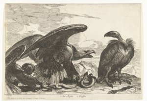 Vautour et aigle avec serpent - Peeter Boel (attributed to)