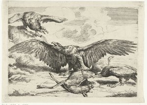 Trois aigles se battent pour un cerf mort Diversi uccelli (titre de la série) - Peeter Boel