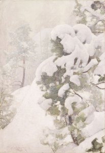 Paysage d