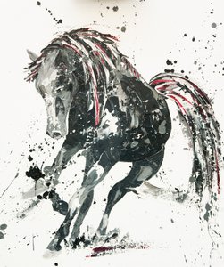 Capriccio - Penny Warden