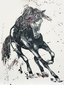 Signification, 2016 - Penny Warden