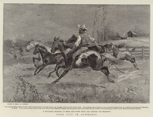 Vie de brousse en Australie