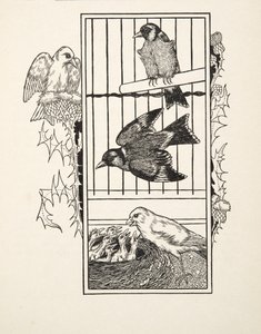 Un canari charitable, de Cent anecdotes d