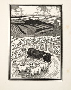 Aller au marché, de Cent anecdotes d
